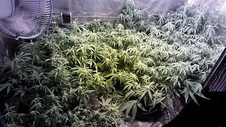 Click image for larger version

Name:	20170331_062137.jpg
Views:	264
Size:	7.06 MB
ID:	73990