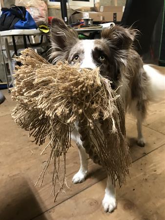 Click image for larger version

Name:	DA0E7680-2B5E-4146-8F0E-E6586C8153C0.jpeg
Views:	705
Size:	2.27 MB
ID:	349309