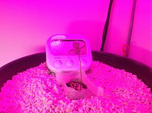 Click image for larger version

Name:	IMG_1584.JPG
Views:	501
Size:	2.96 MB
ID:	52812