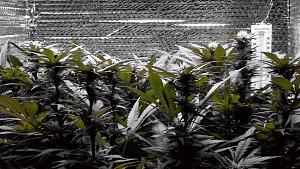 Click image for larger version

Name:	Amnesia Trance 3.jpg
Views:	780
Size:	354.3 KB
ID:	358792