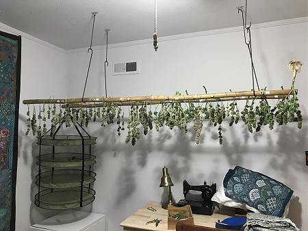 Click image for larger version

Name:	harvest nov1-5.JPG
Views:	554
Size:	1.99 MB
ID:	347375