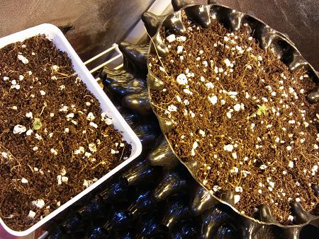 Click image for larger version

Name:	20170202_081323.jpg
Views:	208
Size:	8.43 MB
ID:	51291