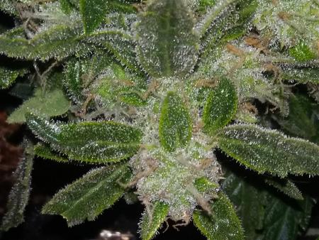 Click image for larger version

Name:	20170202_180704.jpg
Views:	208
Size:	4.73 MB
ID:	51564