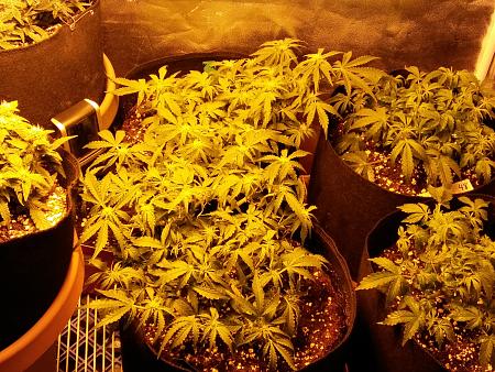 Click image for larger version

Name:	20170202_081209.jpg
Views:	188
Size:	8.89 MB
ID:	51289