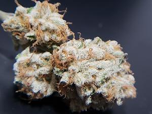 Click image for larger version

Name:	20200213_230314.jpg
Views:	236
Size:	2.02 MB
ID:	375657