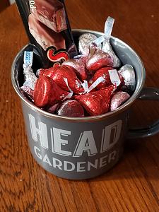 Click image for larger version

Name:	20200214_062912.jpg
Views:	235
Size:	2.02 MB
ID:	375660