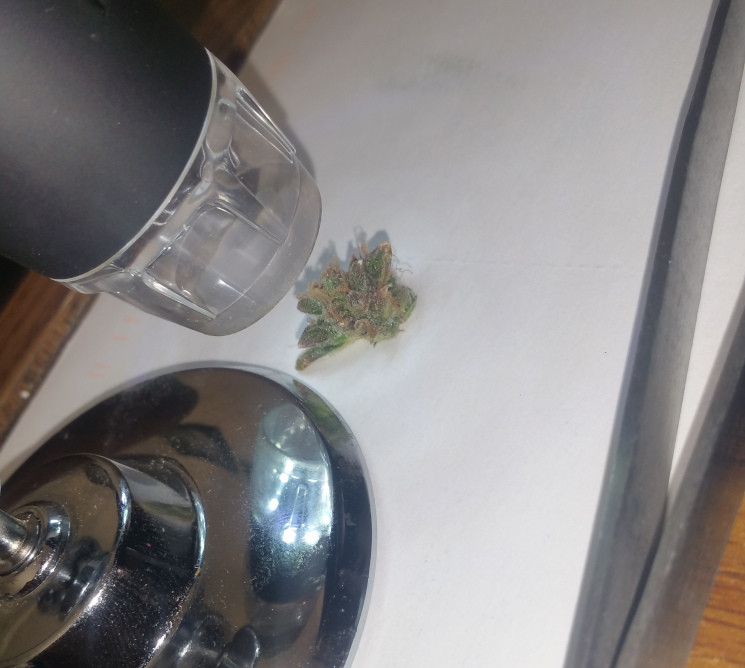 Click image for larger version

Name:	subject.jpg
Views:	326
Size:	88.8 KB
ID:	364304