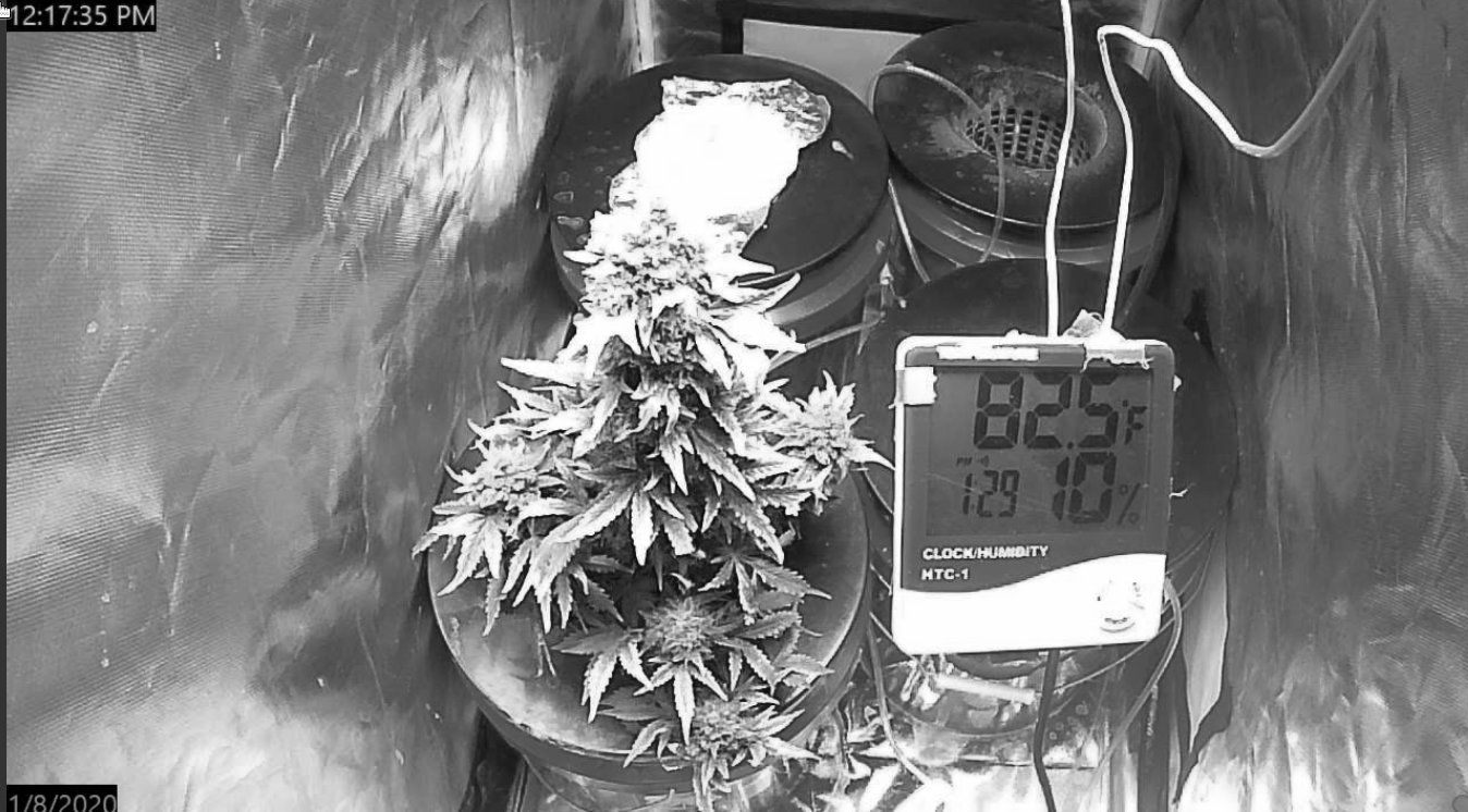 Click image for larger version

Name:	Screenshot_20200108_121743_mono.png
Views:	347
Size:	906.2 KB
ID:	364310