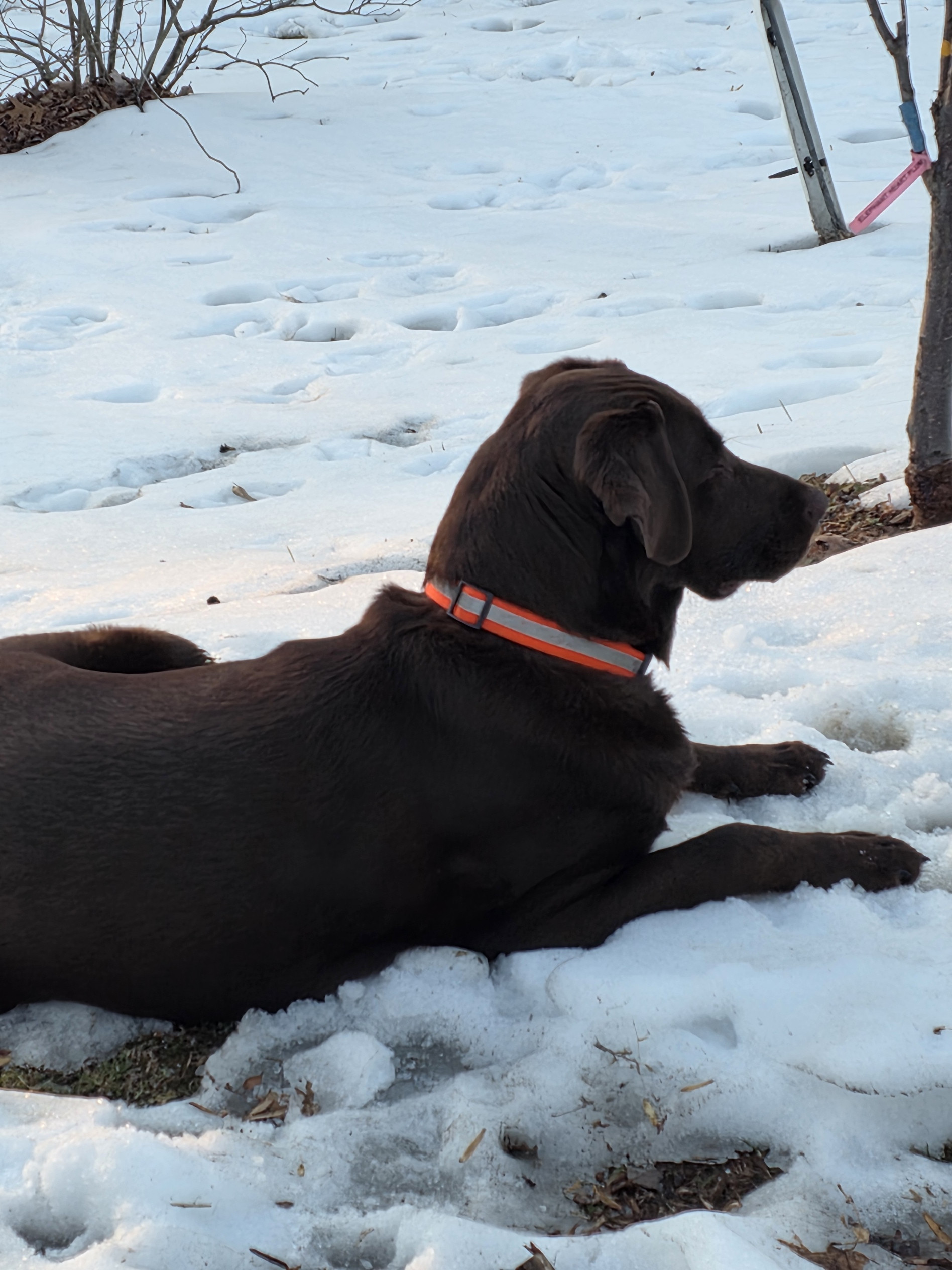 Click image for larger version

Name:	20260211_172019.jpg
Views:	31
Size:	737.9 KB
ID:	662810