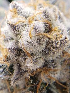 Click image for larger version

Name:	20200205_213237.jpg
Views:	351
Size:	1.96 MB
ID:	373396