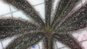 Click image for larger version

Name:	WIN_20200125_11_21_27_Pro.jpg
Views:	1035
Size:	305.1 KB
ID:	369739