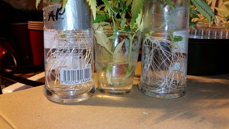 Click image for larger version

Name:	20200201_155604.jpg
Views:	412
Size:	2.94 MB
ID:	372006