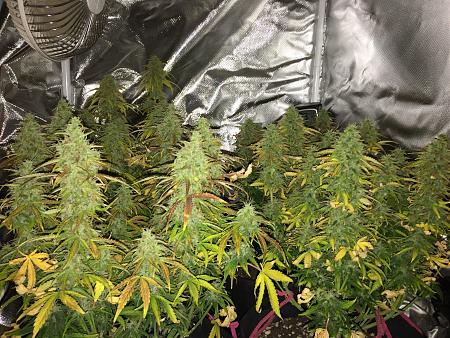 Click image for larger version

Name:	image_72345.jpg
Views:	448
Size:	2.61 MB
ID:	292325