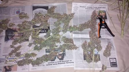 Click image for larger version

Name:	IMG_20180204_093510545.jpg
Views:	213
Size:	799.0 KB
ID:	171889