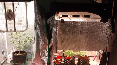 Click image for larger version

Name:	IMG_20180201_173742312.jpg
Views:	246
Size:	977.7 KB
ID:	170718