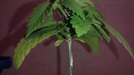 Click image for larger version

Name:	IMG_20180210_075922422.jpg
Views:	256
Size:	462.6 KB
ID:	173756