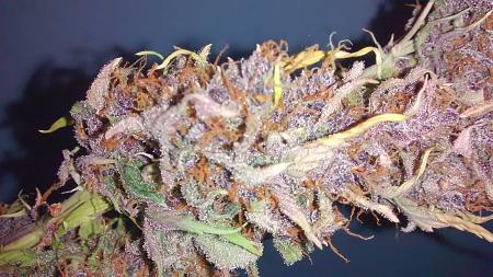 Click image for larger version

Name:	IMG_20180204_093546405.jpg
Views:	215
Size:	1.00 MB
ID:	171890