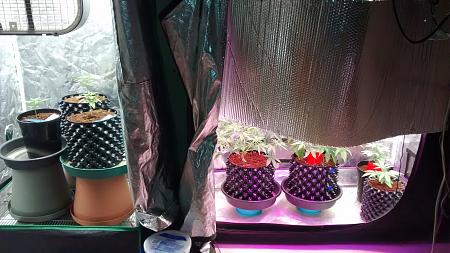 Click image for larger version

Name:	IMG_20180211_185911722.jpg
Views:	204
Size:	954.7 KB
ID:	174497