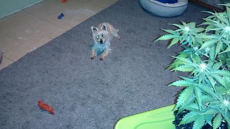 Click image for larger version

Name:	IMG_20180215_094129388.jpg
Views:	176
Size:	855.2 KB
ID:	176032