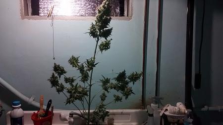 Click image for larger version

Name:	IMG_20180210_081958934.jpg
Views:	220
Size:	593.0 KB
ID:	173751