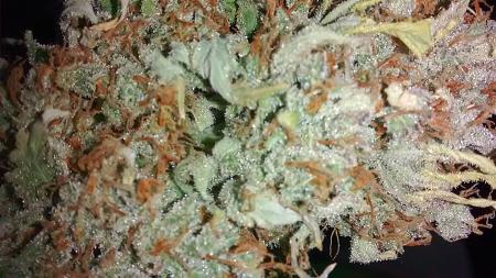 Click image for larger version

Name:	IMG_20180131_085705156.jpg
Views:	216
Size:	915.0 KB
ID:	170667