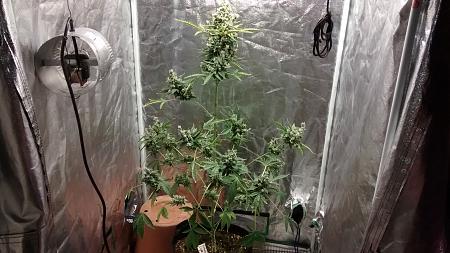 Click image for larger version

Name:	IMG_20180207_180658657.jpg
Views:	259
Size:	995.2 KB
ID:	172893