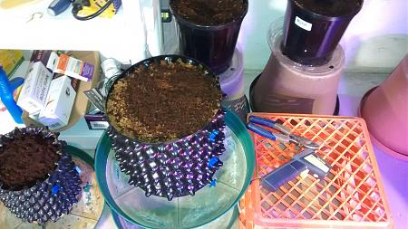 Click image for larger version

Name:	IMG_20180128_122102218.jpg
Views:	226
Size:	845.8 KB
ID:	169812