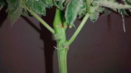 Click image for larger version

Name:	IMG_20180210_054941463.jpg
Views:	234
Size:	429.5 KB
ID:	173750