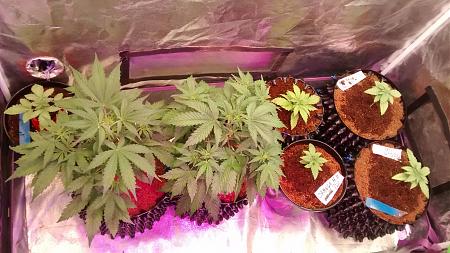 Click image for larger version

Name:	IMG_20180207_180643246.jpg
Views:	223
Size:	1,007.6 KB
ID:	172892