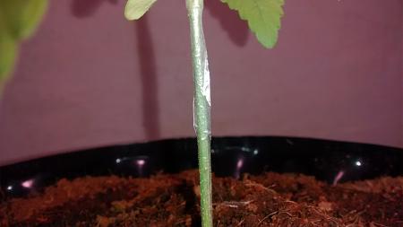 Click image for larger version

Name:	IMG_20180210_075844936.jpg
Views:	277
Size:	429.1 KB
ID:	173757