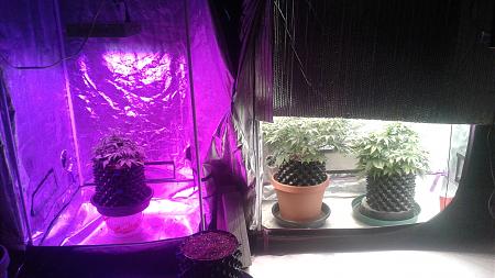 Click image for larger version

Name:	20180528_113233.jpg
Views:	241
Size:	674.7 KB
ID:	208436