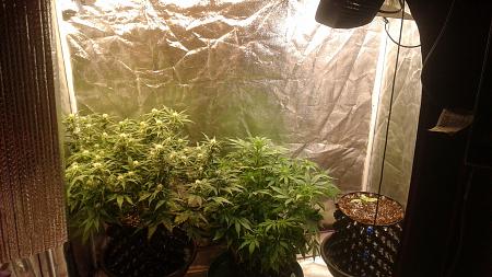 Click image for larger version

Name:	20180603_173746.jpg
Views:	260
Size:	806.9 KB
ID:	210195