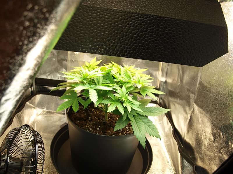 Click image for larger version

Name:	15.11.18 #4.JPG
Views:	272
Size:	1.69 MB
ID:	267643