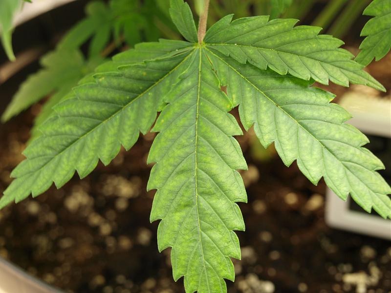 Click image for larger version

Name:	24.11.18 #2.JPG
Views:	240
Size:	1.55 MB
ID:	269909