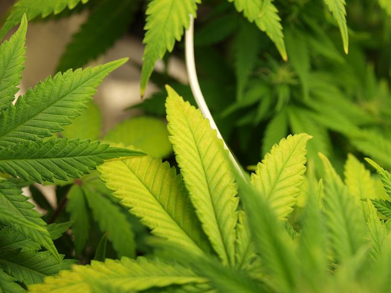 Click image for larger version

Name:	22.12.18 #6.JPG
Views:	234
Size:	1.35 MB
ID:	278161