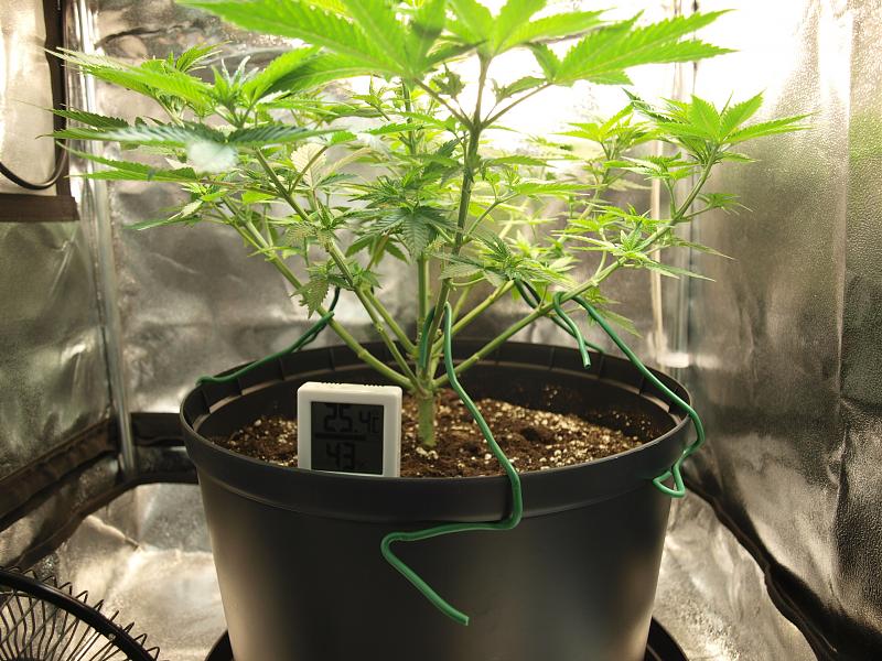 Click image for larger version

Name:	26.11.18 #2.JPG
Views:	247
Size:	1.69 MB
ID:	270668