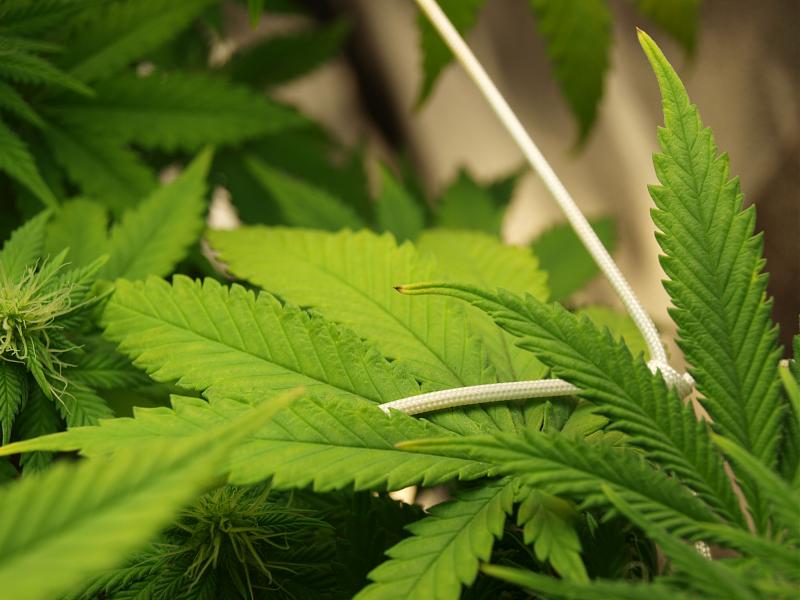 Click image for larger version

Name:	22.12.18 #4.JPG
Views:	209
Size:	1.36 MB
ID:	278162