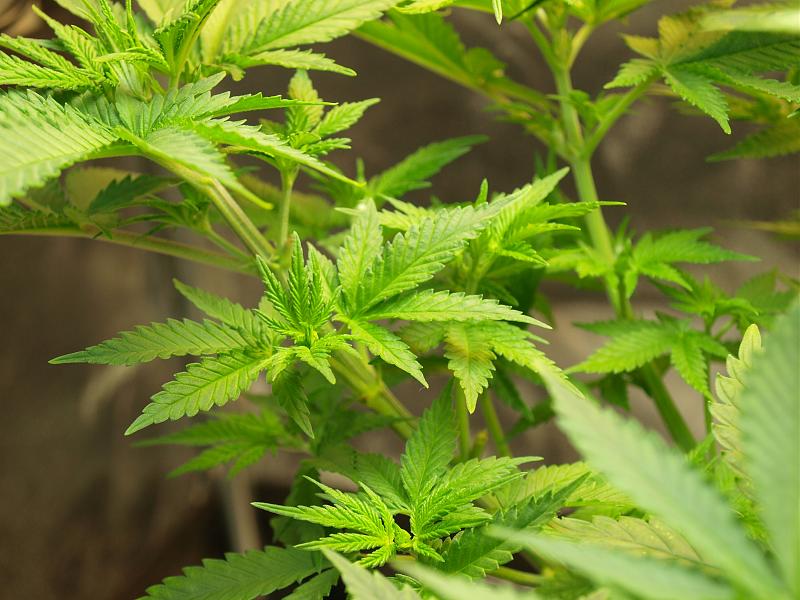 Click image for larger version

Name:	26.11.18 #7.JPG
Views:	258
Size:	1.61 MB
ID:	270673