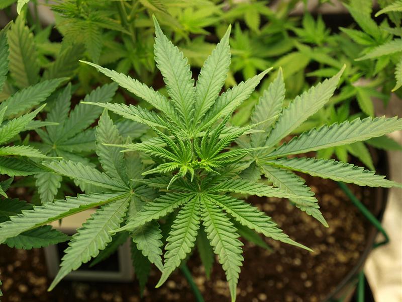 Click image for larger version

Name:	26.11.18 #5.JPG
Views:	231
Size:	1.58 MB
ID:	270670