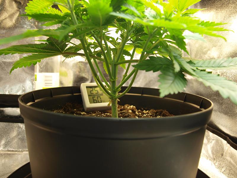 Click image for larger version

Name:	15.11.18 #1.JPG
Views:	246
Size:	1.49 MB
ID:	267644