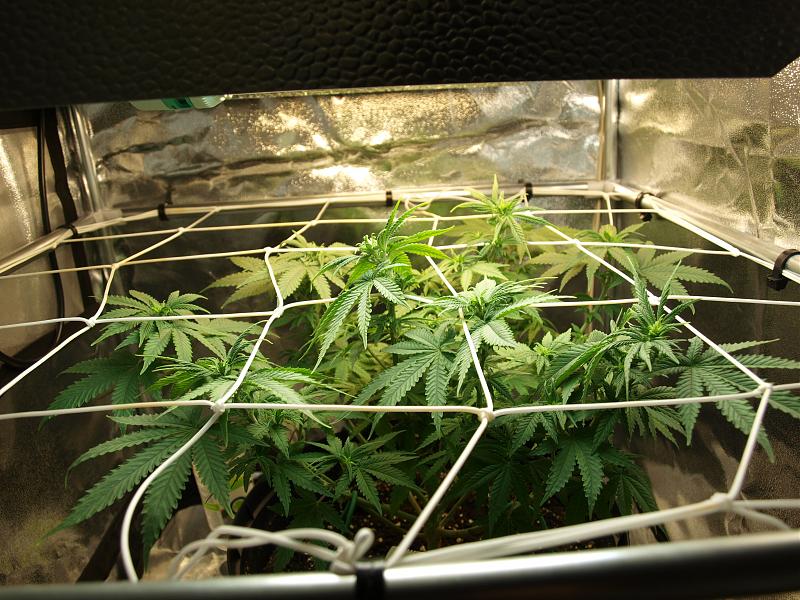 Click image for larger version

Name:	07.12.18 #1.JPG
Views:	252
Size:	1.80 MB
ID:	273479