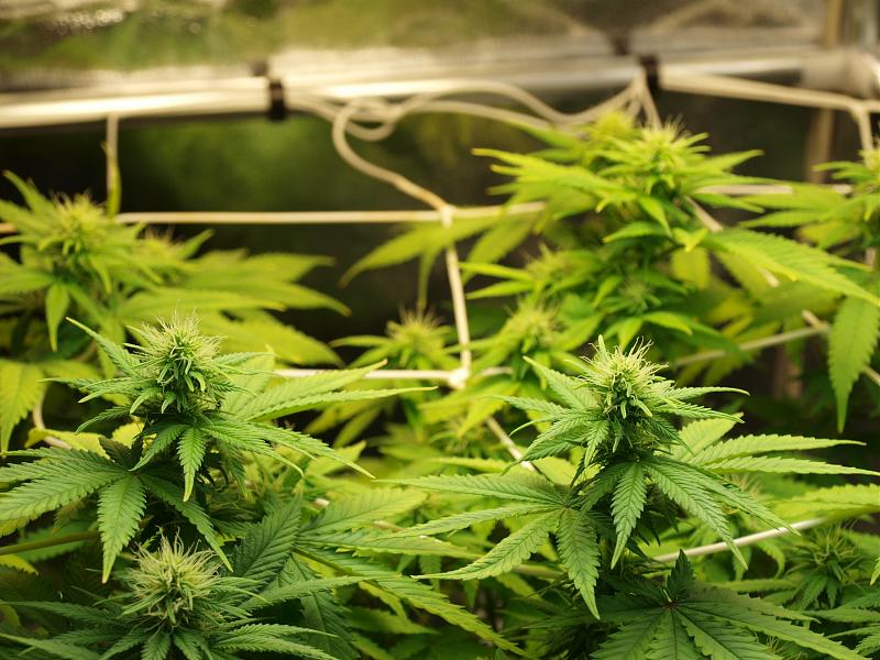 Click image for larger version

Name:	22.12.18 #1.JPG
Views:	224
Size:	1.58 MB
ID:	278159