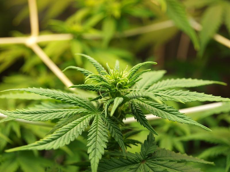 Click image for larger version

Name:	14.12.18 #6.JPG
Views:	209
Size:	1.49 MB
ID:	278148