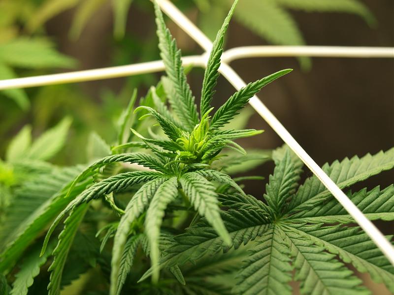 Click image for larger version

Name:	07.12.18 #4.JPG
Views:	228
Size:	1.50 MB
ID:	273481