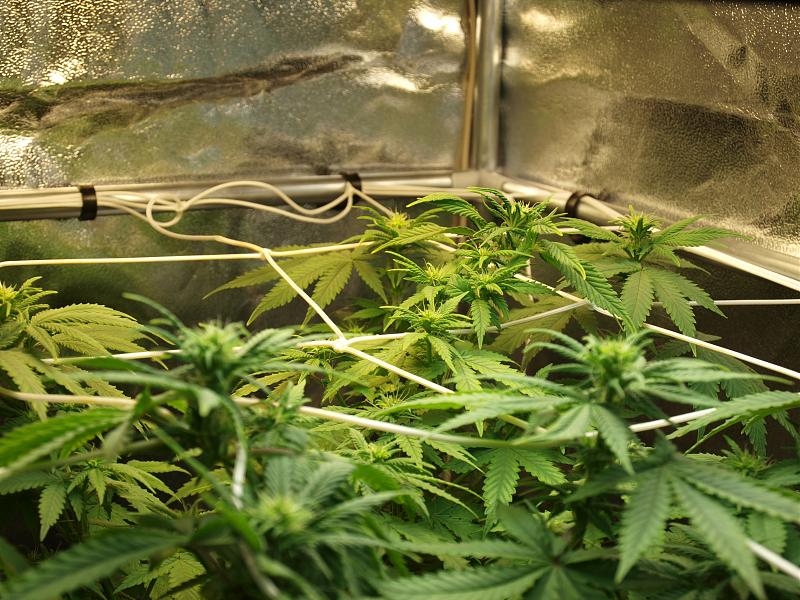 Click image for larger version

Name:	14.12.18 #2.JPG
Views:	211
Size:	1.78 MB
ID:	278149