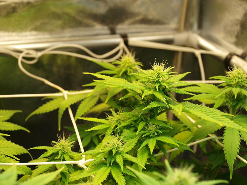 Click image for larger version

Name:	22.12.18 #2.JPG
Views:	211
Size:	1.48 MB
ID:	278164