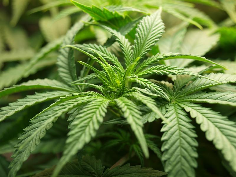 Click image for larger version

Name:	24.11.18 #5.JPG
Views:	248
Size:	1.44 MB
ID:	269911