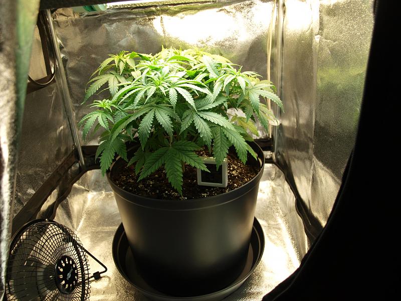 Click image for larger version

Name:	24.11.18 #6.JPG
Views:	246
Size:	1.76 MB
ID:	269912