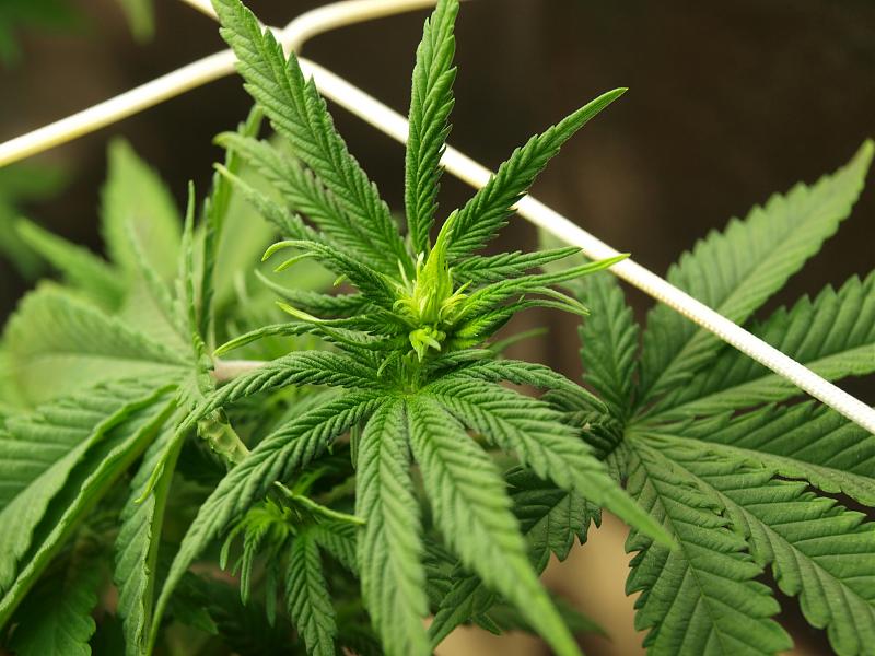 Click image for larger version

Name:	07.12.18 #5.JPG
Views:	238
Size:	1.58 MB
ID:	273480