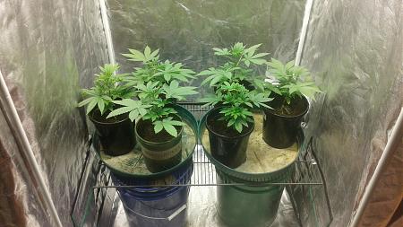 Click image for larger version

Name:	20181118_064803.jpg
Views:	232
Size:	764.5 KB
ID:	268365